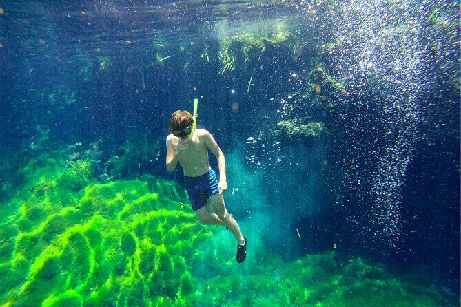 Toh Tours Adventures Cenotes Chemuyil - Final Thoughts