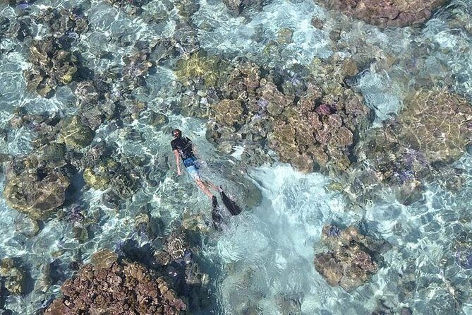 Tohora Bora Bora Snorkeling Lagoon Tours - Final Thoughts