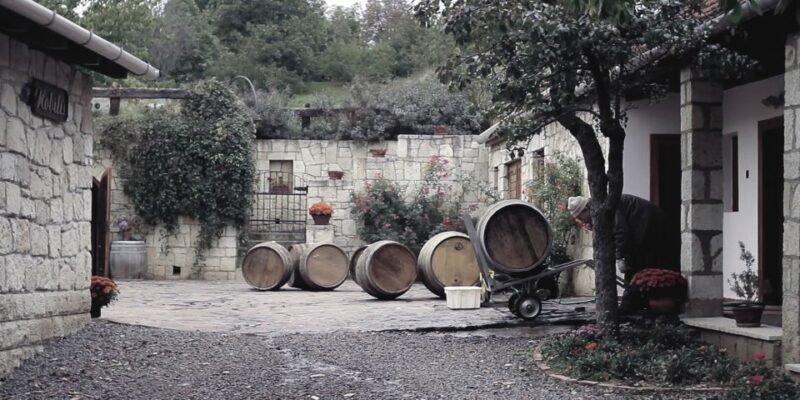 Tokaj Private Day Tour from Budapest - A Deep Dive into the Experience