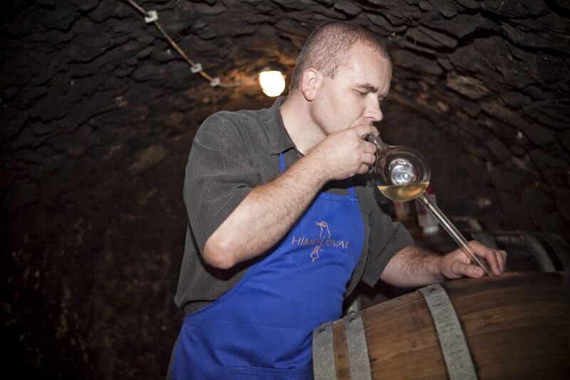 Tokaj: Vineyard Tour & Tasting - The Itinerary Breakdown