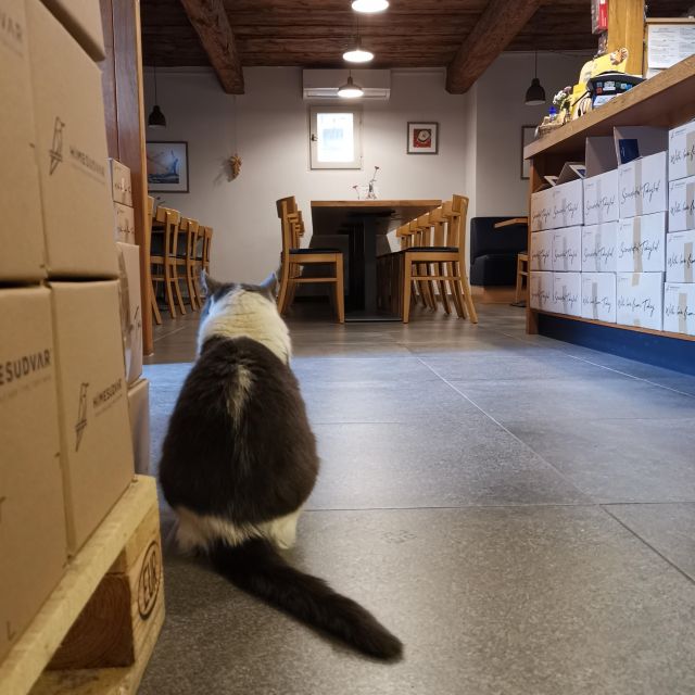 Tokaj: Vineyard Tour & Tasting - Frequently Asked Questions