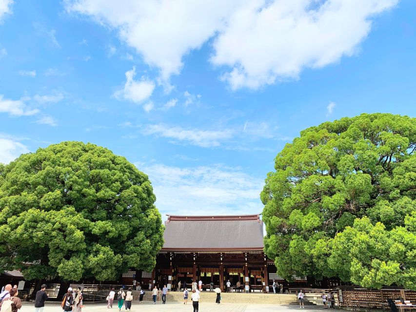 Tokyo: 1-Day Tokyo Private Tailor-made Tour - Cancellation Policy