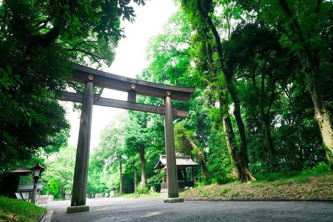 Tokyo 6hr Private Tour With Government-Licensed Guide - Cancellation and Refund Policy