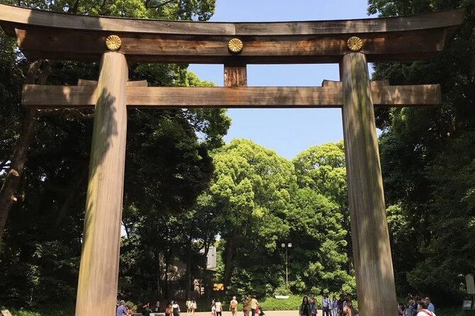 Tokyo 7-Hour Free Choice Tour - Customer Experience and Review