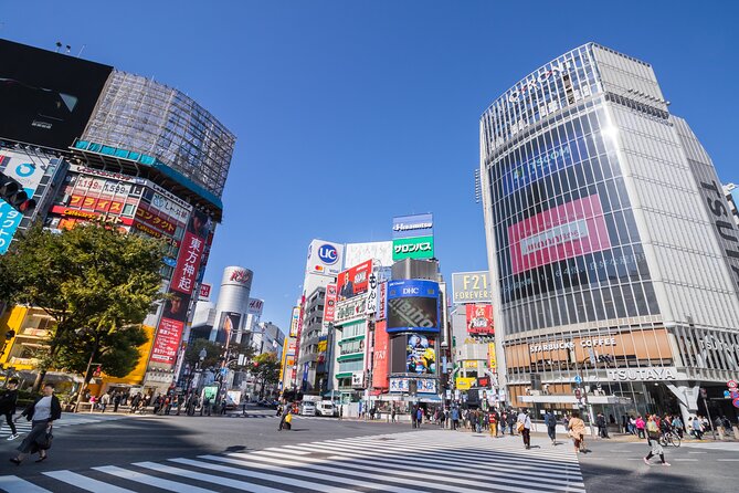Tokyo 7hr Tour Licensed Guide & Vehicle: NRT Airport Drop Off - Pickup and Accessibility