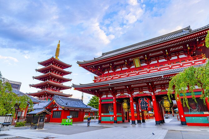 Tokyo 8hr Private Tour With Licensed Guide From Yokohama - Guide Qualifications