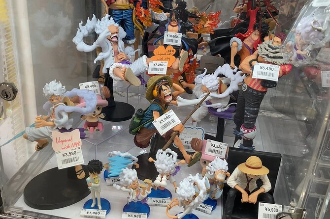 Tokyo Akihabara Anime Manga Video Games and Maid Cafe Tour - Accessibility and Participation