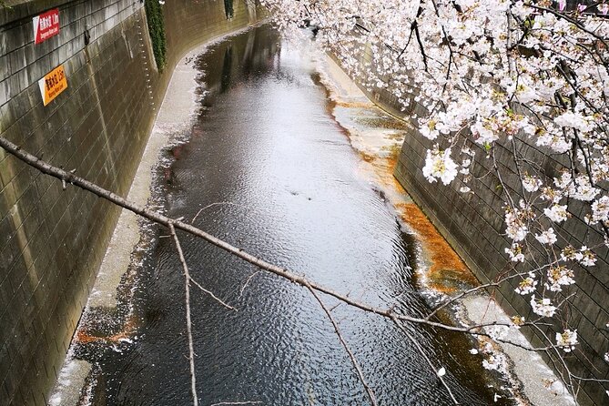 Tokyo Art and Culture Tour - Key Points