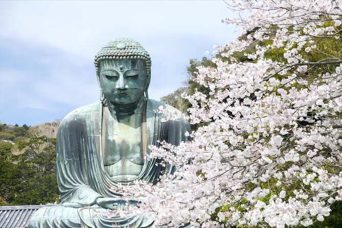 Tokyo: Bus Tour to Kamakura Great Buddha & Enoshima With Pickup - Travel and Accessibility Information