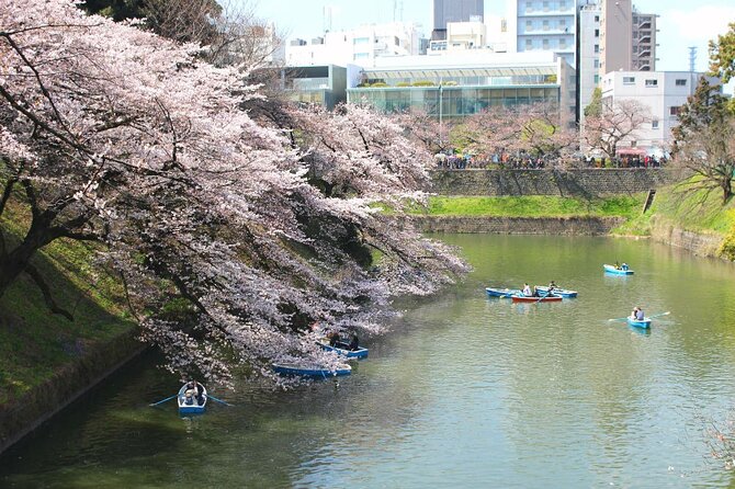 Tokyo Castle & Imperial Palace , Historical Walking Tour - Accessibility