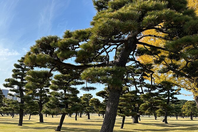 Tokyo Castle & Imperial Palace , Historical Walking Tour - History of Tokyo Castle and Imperial Palace