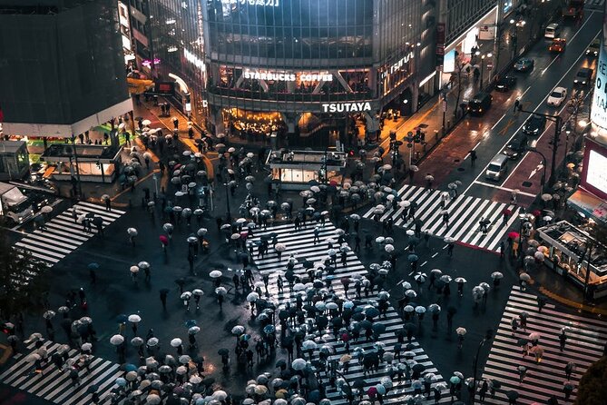 Tokyo City 1-Day Private Tour With Bilingual Driver - Customizable Itinerary