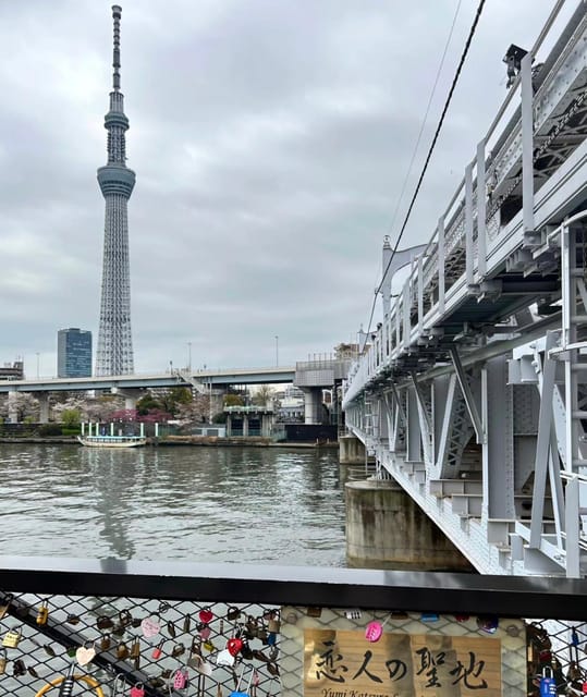 Tokyo City: Day Tour - Cultural and Historical Insights
