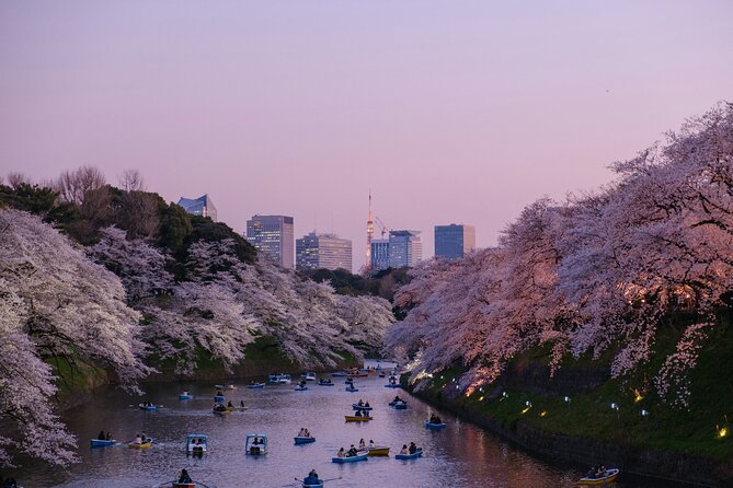 Tokyo City Private Sightseeing English Day Fun Tour - Key Points
