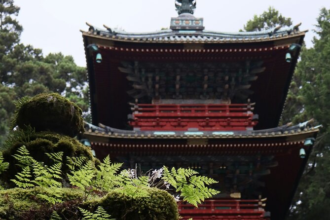 Tokyo City Private Sightseeing English Day Fun Tour - Pricing and Policies