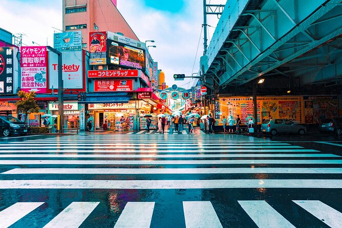 Tokyo City Private Sightseeing English Day Fun Tour - Additional Information