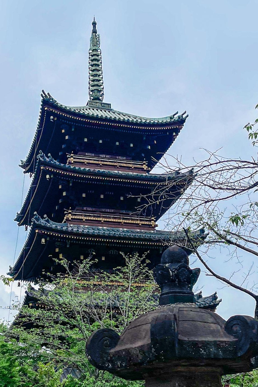 Tokyo: City Tour in Spanish a - Cultural Immersion Experience