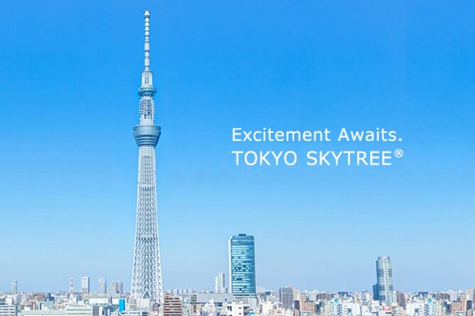 Tokyo City Walk Private Sightseeing Day Tour - Health and Accessibility Information