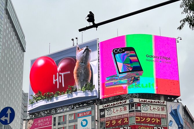 Tokyo City Walk Private Sightseeing Day Tour - Exploring Tokyos Iconic Landmarks