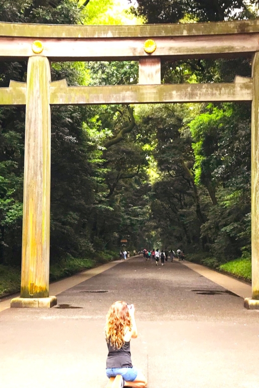 Tokyo: Complete Tour in One Day, Visit All 15 Popular Sights - Legendary Canine Statue