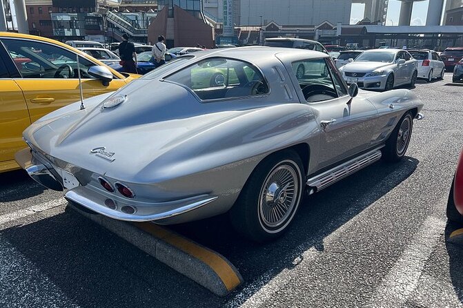 Tokyo Daikoku PA. Custom Car Tour - Traveler Reviews and Feedback
