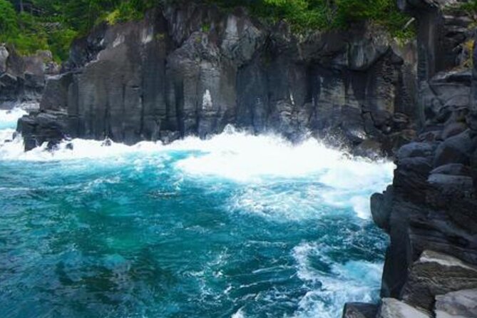 Tokyo Day Trip to Izu and Shimoda - Booking Information