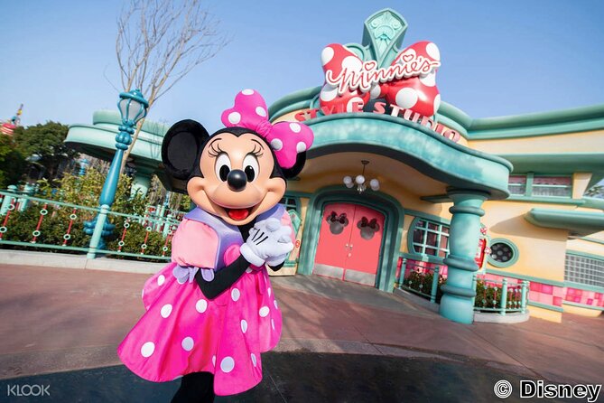 Tokyo Disneyland Entry Ticket With Tokyo Subway Ticket - Meeting and Pickup Information