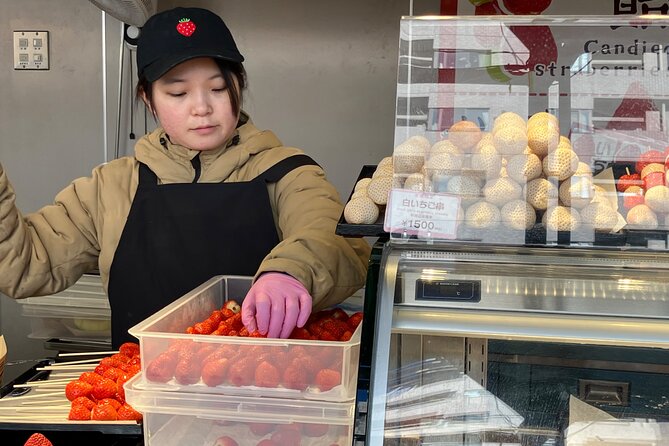 Tokyo Food Adventure: Street Food, Teppanyaki Cuisine, Shrine Etc - Navigating Tokyos Public Transportation