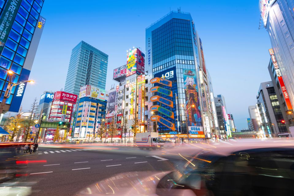 Tokyo, Fuji, Hakone, Kamakura: Private Guide & Car Full-Day Trip - Key Points