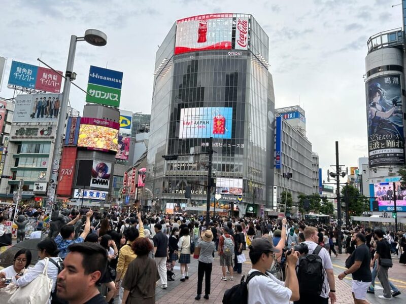 Tokyo & Fuji: Premium Car 2-Day Private Tour - Unique Tour Experience