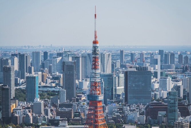 Tokyo Full Day Customize Private Tour With English Guide - Key Points