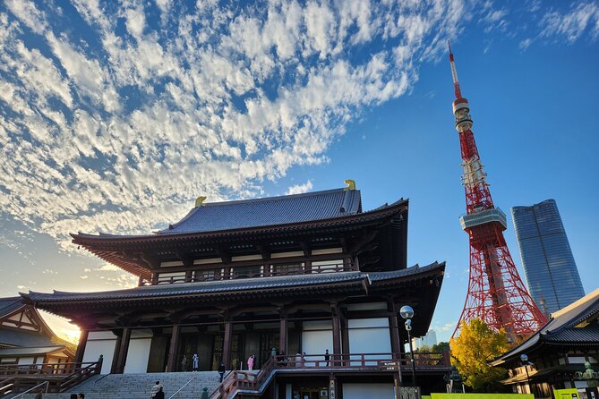 Tokyo | Fully Personalized Private Day Tour With Certified Guide - Transportation and Pickup