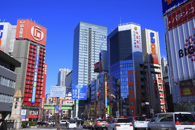 Tokyo, Guided Tour Exploring Anime and Electronics in Akihabara - Key Points