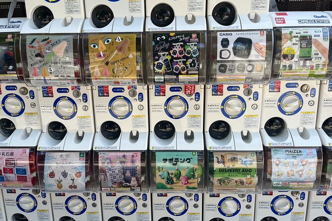 Tokyo, Guided Tour Exploring Anime and Electronics in Akihabara - Booking Information