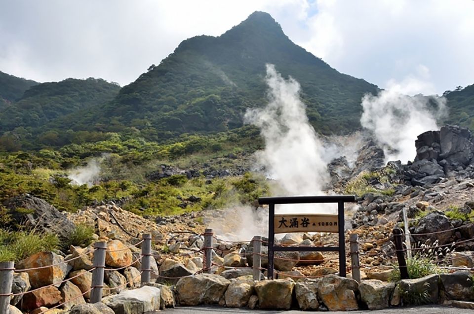 Tokyo: Hakone Fuji Day Tour W/ Cruise, Cable Car, Volcano - Highlights of the Trip