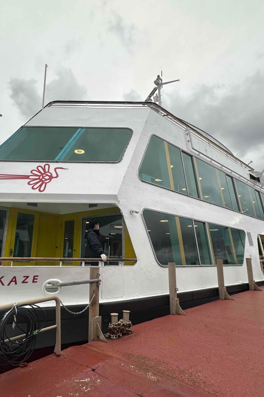 Tokyo: Hakone & Mt Fuji Area Guided Tour With Buffet Lunch - Scenic Views and Highlights