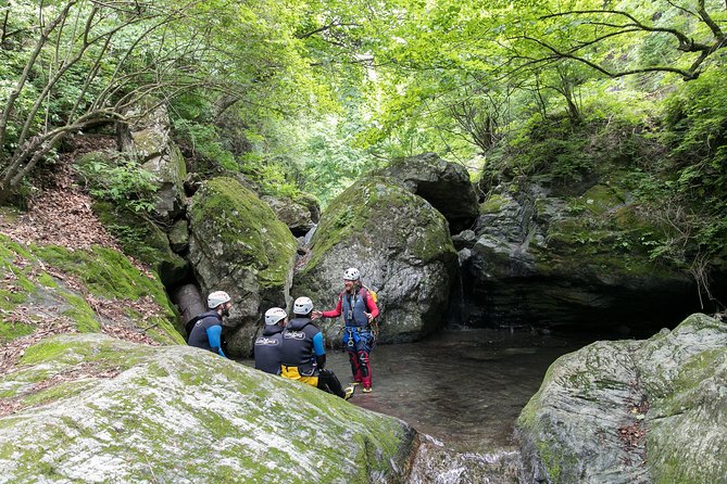 Tokyo Half-Day Canyoning Adventure - Reviews