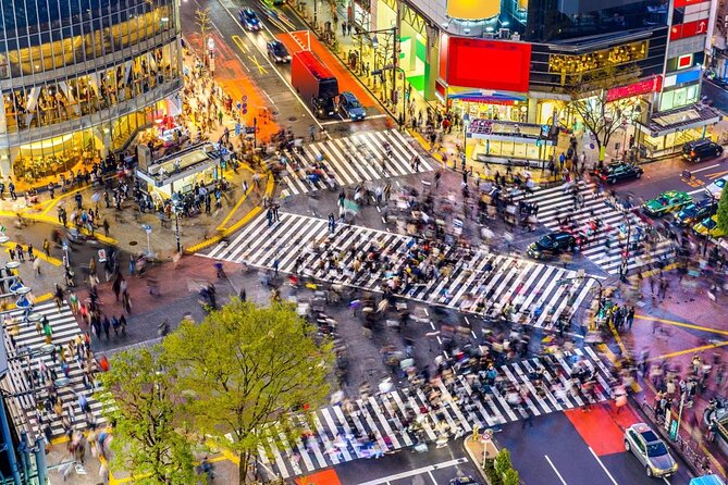 Tokyo: Harajuku From Meiji Shrine to Shibuya Crossing - Key Points