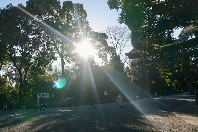 Tokyo: Harajuku From Meiji Shrine to Shibuya Crossing - Highlights of the Tour Itinerary
