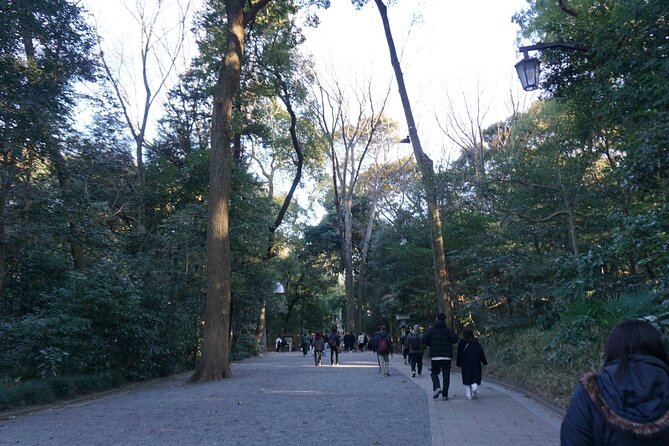 Tokyo: Harajuku From Meiji Shrine to Shibuya Crossing - Tour Logistics and Meeting Points