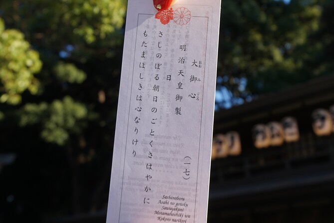 Tokyo Harajuku Meiji Shrine 1 Hour Explanation Tour - Accessibility and Participation