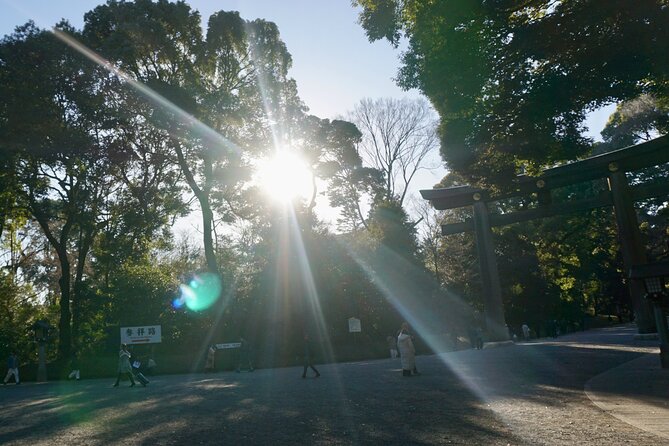 Tokyo Harajuku Meiji Shrine 1 Hour Explanation Tour - Highlights of the Tour