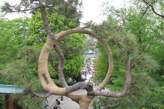 Tokyo Highlights, Asakusa, Ueno, Yanaka Walking - Meeting and Pickup Details