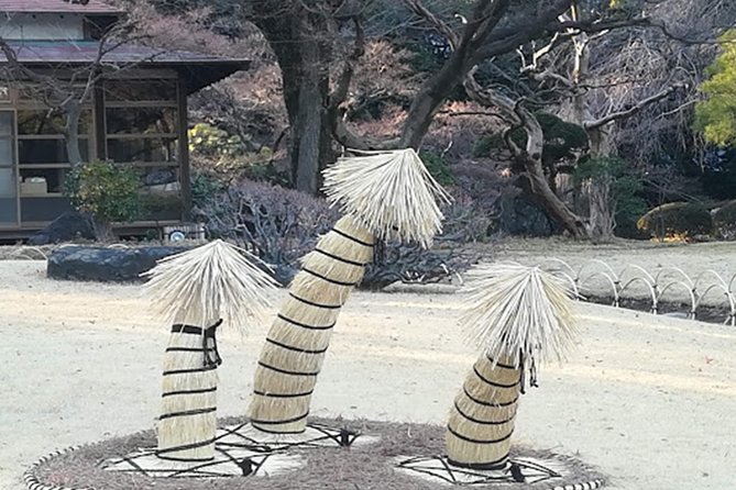 Tokyo Highlights, Korakuen Garden, Kagurazaka Backstreet Walking - Health and Accessibility