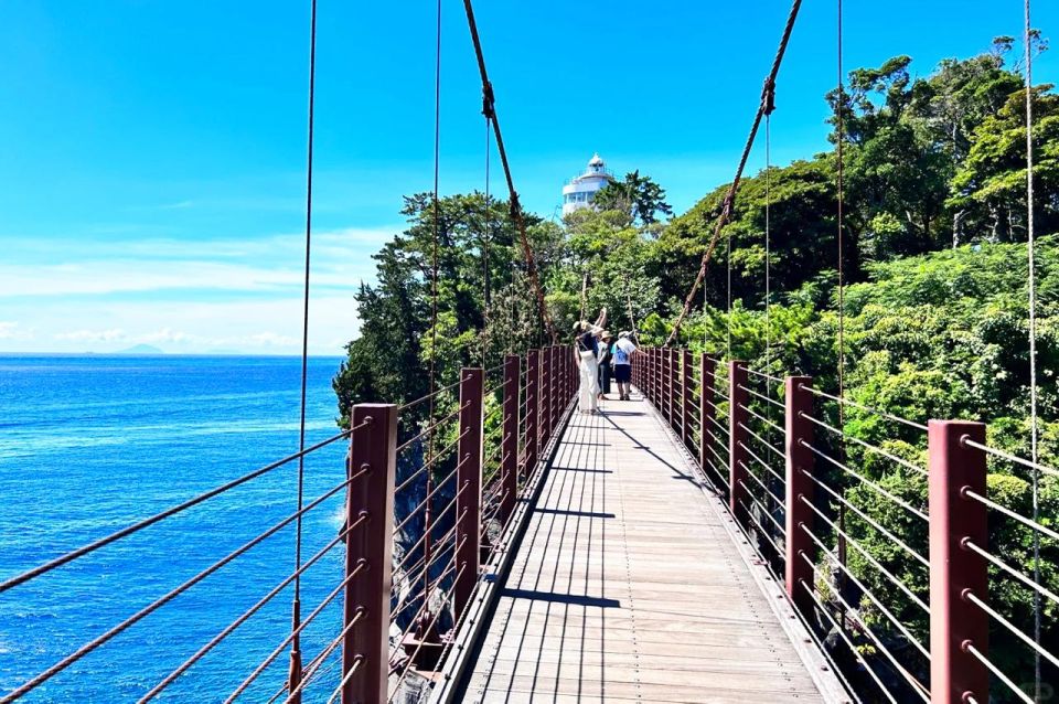Tokyo: Izu Hydrangea Ocean, Jogasaki Beach & Hot Spring Day - Diverse Flower Landscapes