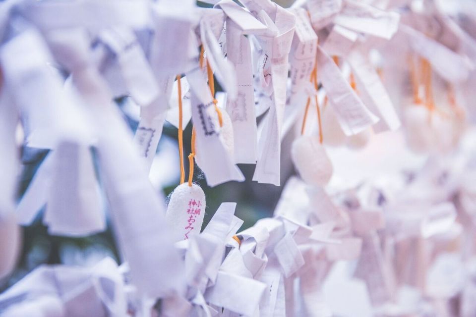 Tokyo: Japanese Shopping Secrets and Food Tastings Tour - Personalized Small Group Experience