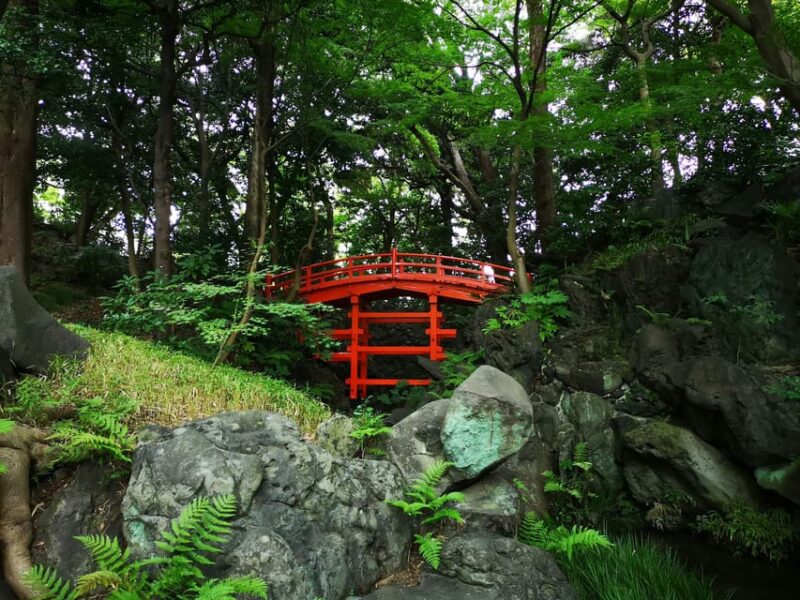 Tokyo & Kamakura: Modern City to Ancient City Full-Day Tour - Tour Customization Options