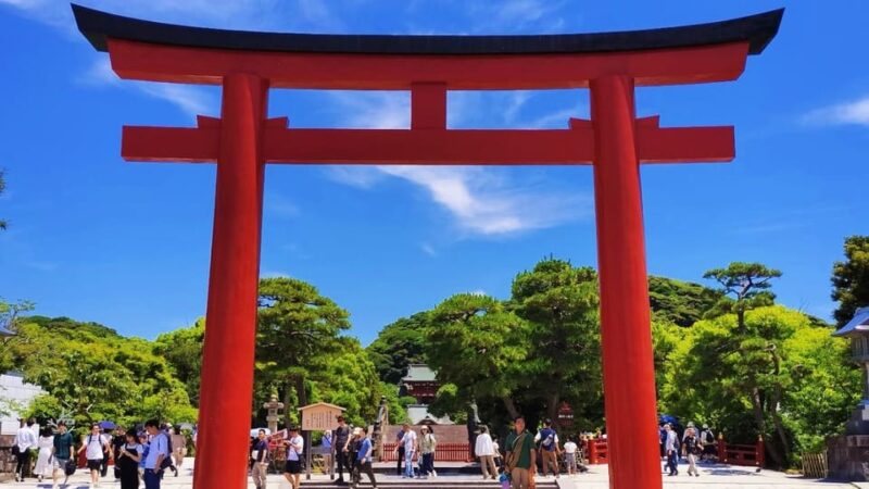 Tokyo & Kamakura: Modern City to Ancient City Full-Day Tour - Inclusions and Services