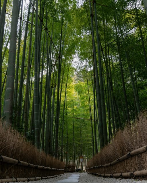 Tokyo & Kamakura: Modern City to Ancient City Full-Day Tour - Frequently Asked Questions