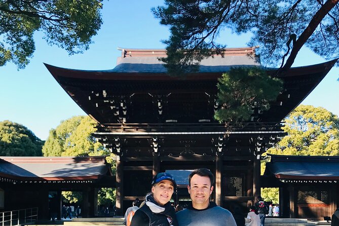 Tokyo Layover Tour English Speaking Driver Only : NRT Airport Dep - Accessibility and Requirements